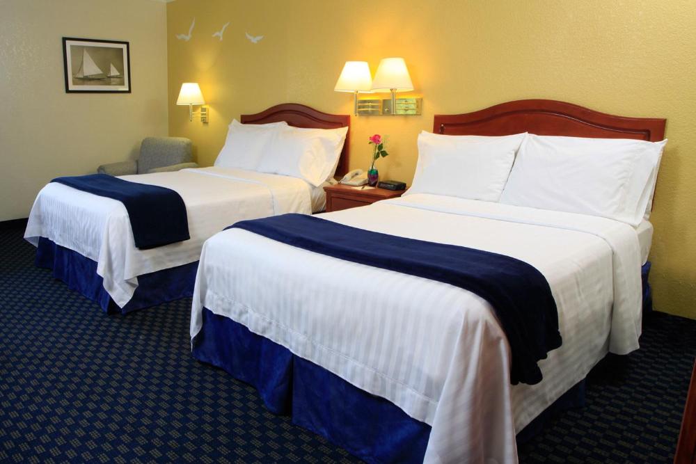 Superior Double Room with Two Double Beds interior